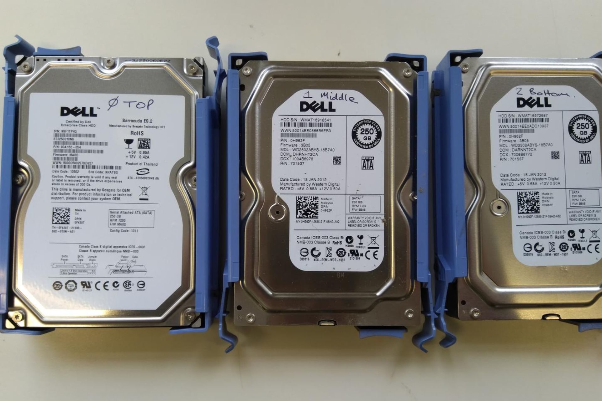 Dell enterprise hard drives in blue server caddies on the workbench at the Kiwi Data Recovery lab in Auckland, ready for data recovery assessment